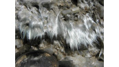 Veine à actinolite-amiante recoupant un métabasalte ophiolitique de Haute-Corse